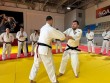 Cüdo üzrə peşəkar inkişaf proqramı uğurla yekunlaşdı